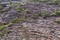 Zastyga lawa w Þingvellir